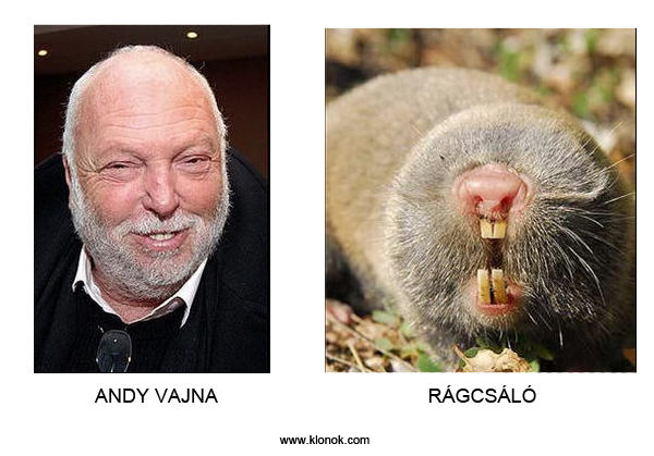 Andy Vajna - rágcsáló
 
Andy Vajna - rágcsáló