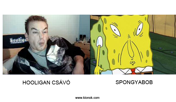 Hooligan srác - Spongyabob
 
Hooligan srác - Spongyabob