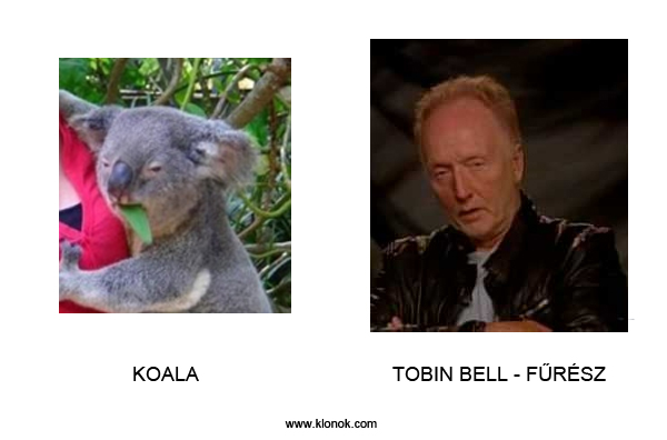 Koala-F?rész
 
Koala - Tobin Bell