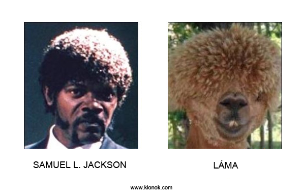 Samuel L. Jackson - Láma
 
Samuel L. Jackson - Láma