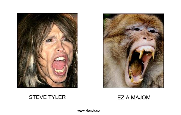 Steve Tyler - Majom
 
Steve Tyler - Majom