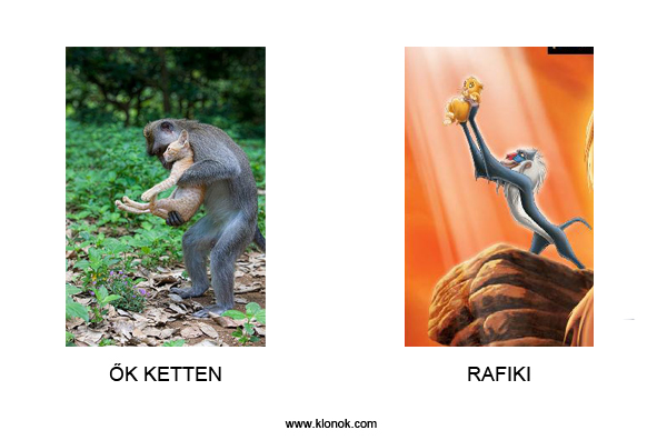 Rafiki
 
