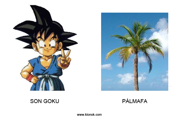 Son Goku-Pálmafa
 
