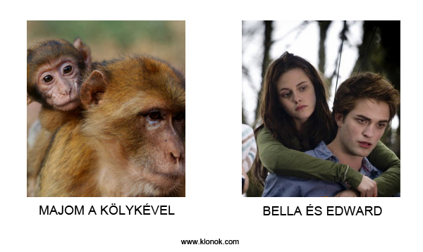 Majom és kölyke - Bella és Edward
 
