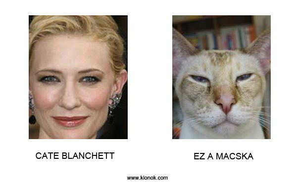 Cate Blanchett - Macska
 
