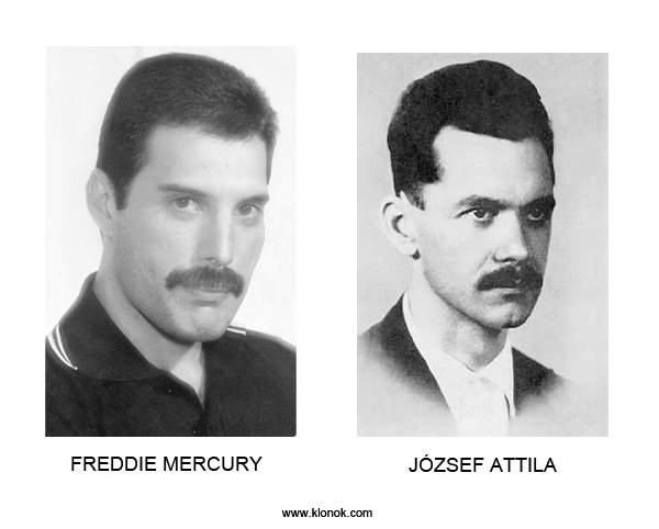 Freddie Mercury - József Attila
 
