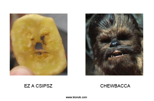 Csipsz - Chewbacca
 
