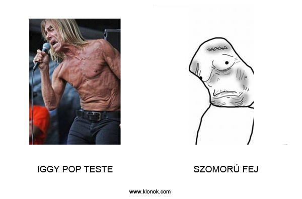 Iggy - Szomorú fej
 
