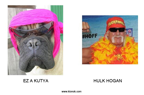 Kutya - Hulk Hogan
 
