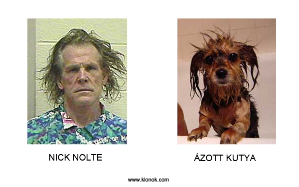 Nick Nolte - Ázott kutya
 

