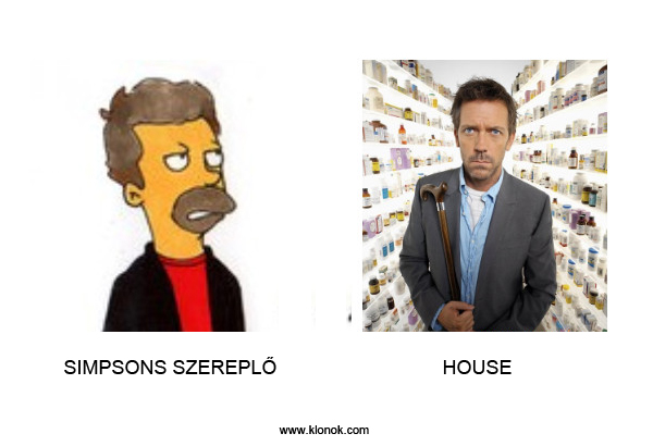 Simpsons - House
 
