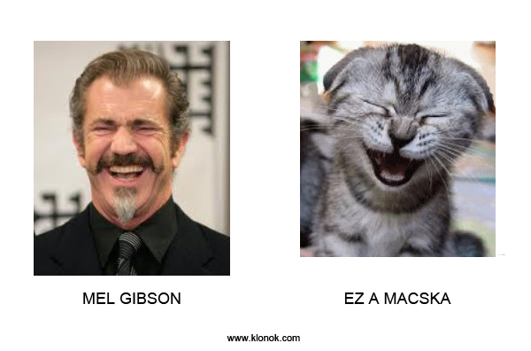 Mel Gibson
 
