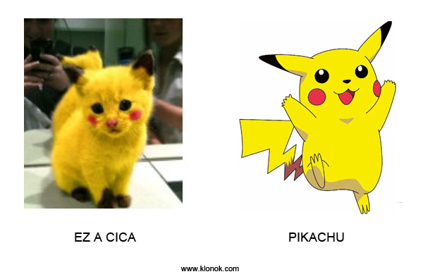 Cica - Pikachu
 
