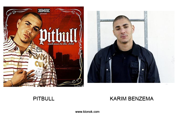 Pitbull - Benzema
 
